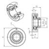 Bearing housed units ESC206 SNR