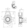 Bearing housed units ESEHE203 SNR #1 small image