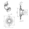 Bearing housed units ESPFL205 SNR #1 small image