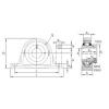 Bearing housed units RASE25-N-FA125 INA