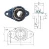 Bearing housed units NANFL207-22 FYH #1 small image
