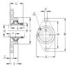 Bearing housed units RCJT20-N NKE