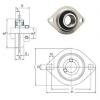 Bearing housed units SBPFL205-15 FYH #1 small image