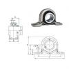 Bearing housed units SBPP205-15 FYH #1 small image