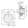 Bearing housed units TCJT55 INA #1 small image