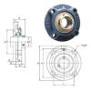 Bearing housed units UCFCX12 FYH #1 small image