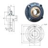 Bearing housed units UCFCX05-16E FYH