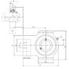 Bearing housed units UCT308 CX