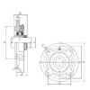 Bearing housed units UKFC218 ISO