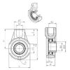 Bearing housed units USEHE202 SNR #1 small image