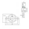 Bearing housed units USFL004S6 KOYO #1 small image