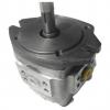 NACHI PVS Series Piston Pump PVD-2B-40P-6G3-4165G    