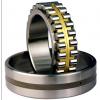 CYLINDRICAL ROLLER BEARINGS TWO Row NNU40/500MAW33 #1 small image