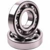 Cylindrical Roller Bearing NU1005