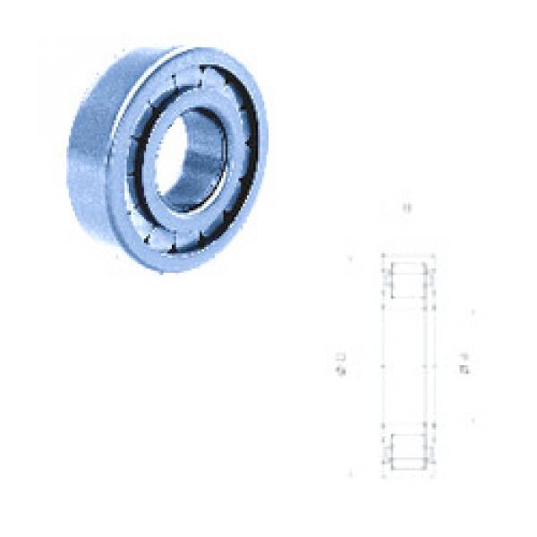 cylindrical bearing nomenclature NUP309FM/C3 Fersa #1 image