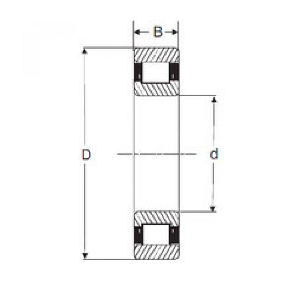 Cylindrical Roller Bearings LRJ 1.1/2 SIGMA #1 image