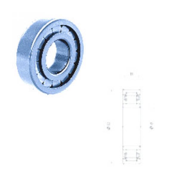 Cylindrical Roller Bearings Distributior NU310F Fersa #1 image