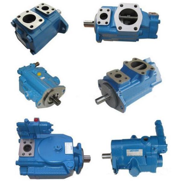 Vickers Fixed & variable displacement high pressure piston pumps PVB15RS41CC11 #1 image