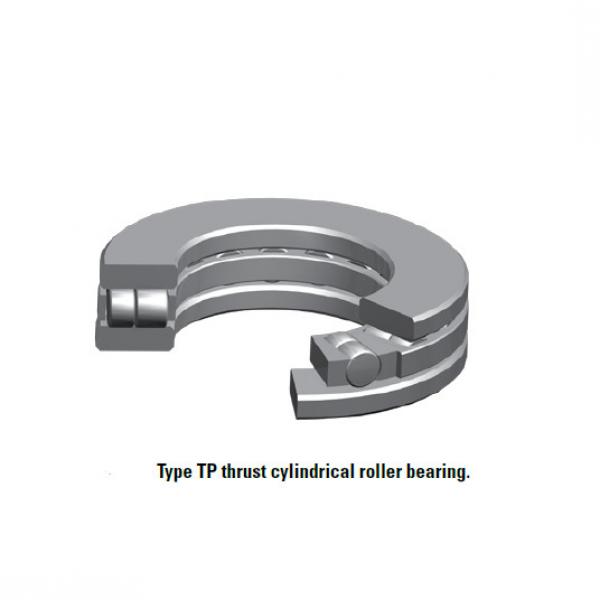 TP  cylindrical roller bearing 100TP143 #1 image
