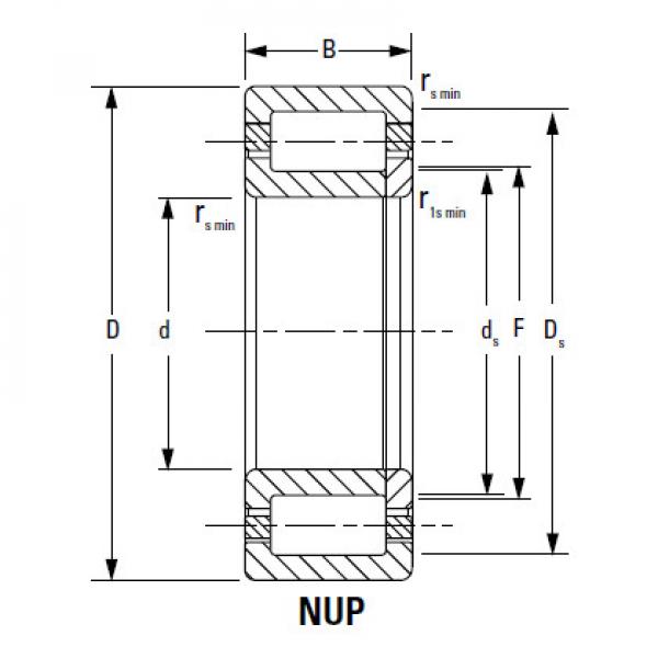 CYLINDRICAL ROLLER BEARINGS one-row STANDARD SERIES 220RJ51 #2 image