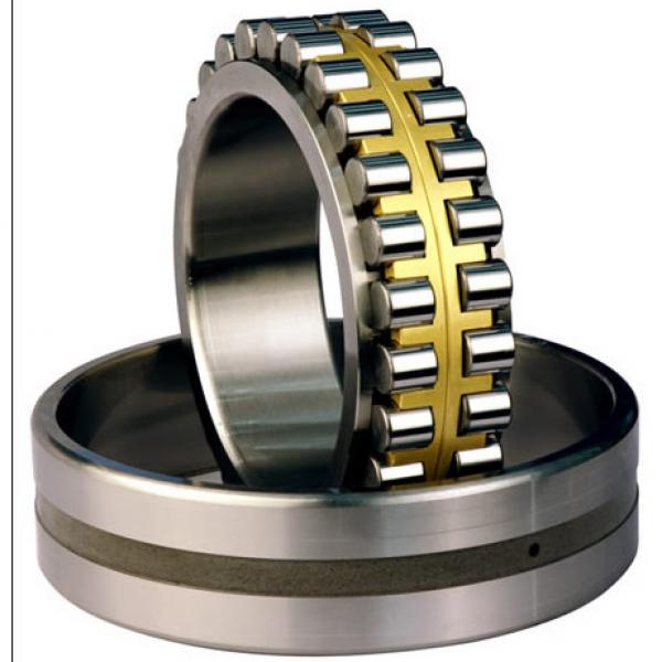 CYLINDRICAL ROLLER BEARINGS TWO Row NNU4096MAW33 #1 image