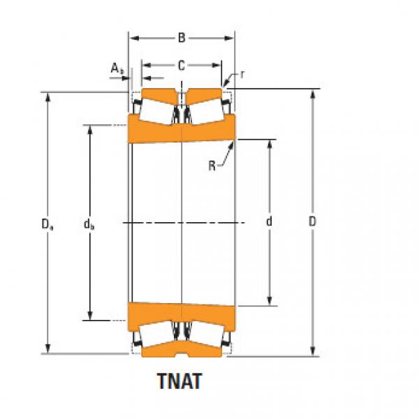 TdiT TnaT two-row tapered roller Bearings Hm256839Ta-Hm256849Ta Hm256810dc #1 image