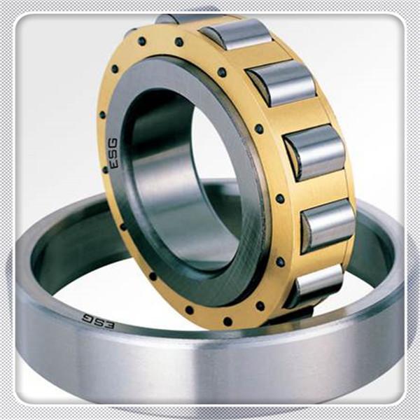 CYLINDRICAL ROLLER BEARINGS #1 image