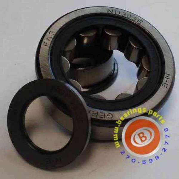 NUP303E-TVP2 Cylindrical Roller Bearing  -  FAG Brand #5 image