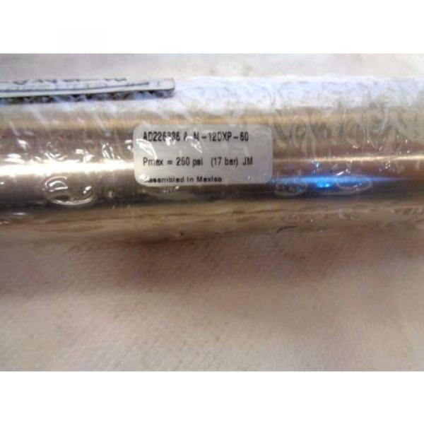 NEW REXROTH M-12DXP-60 AIR CYLINDER 1-1/4&#034;-BORE 6&#034;-STROKE #2 image